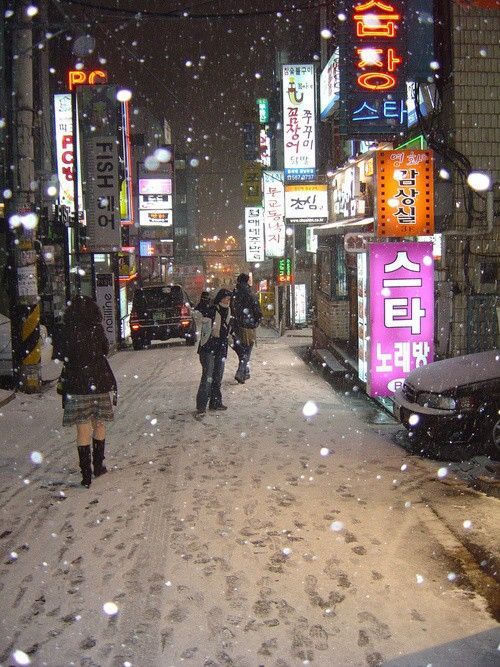 Winter in Tokyo - Winter, Snow, Japan, Tokyo, Longpost