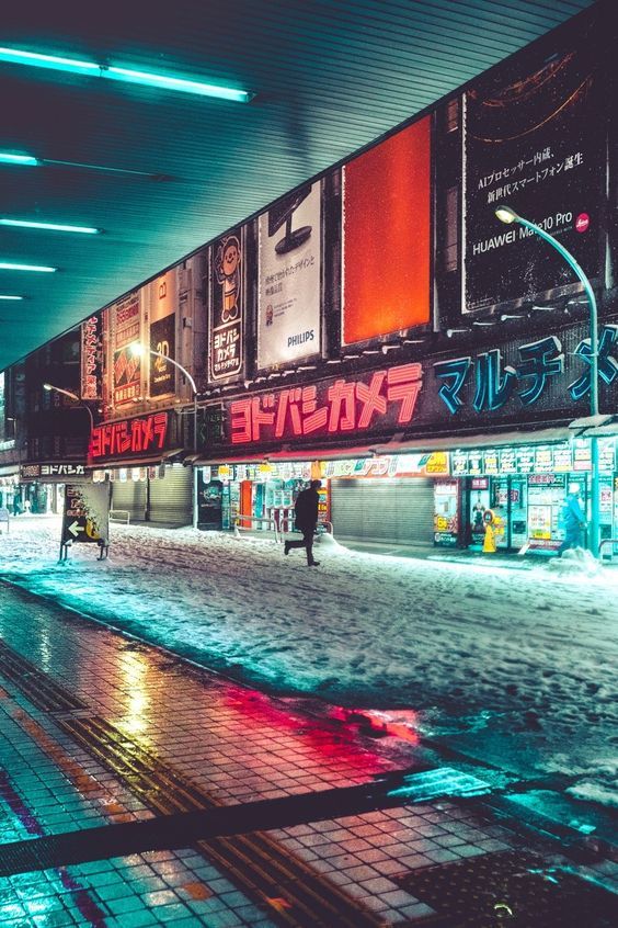 Winter in Tokyo - Winter, Snow, Japan, Tokyo, Longpost