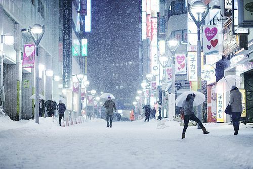 Winter in Tokyo - Winter, Snow, Japan, Tokyo, Longpost