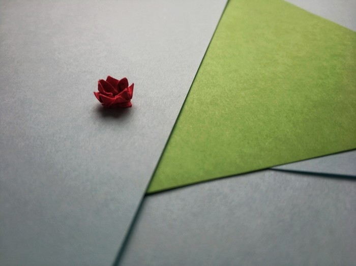 mini origami - Longpost, Water lily, the Rose, The Dragon, Origami, My