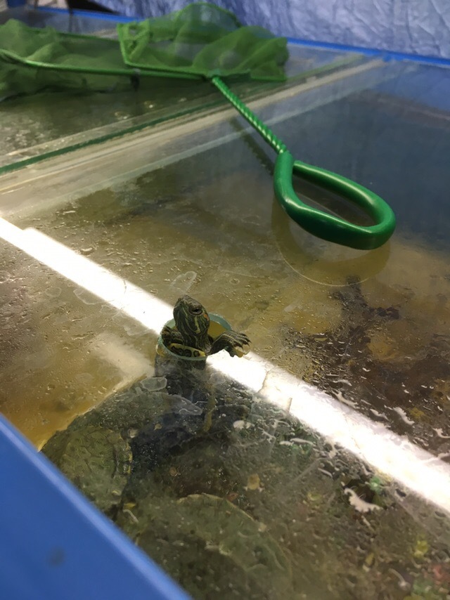 -���� �� � �������� � ����� ���������? -����!