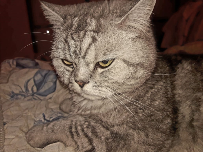 ������� ������?