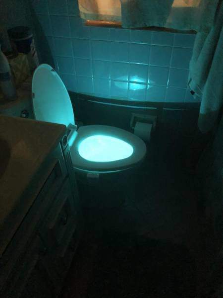 When the smartphone fell into the toilet... - Toilet, Backlight