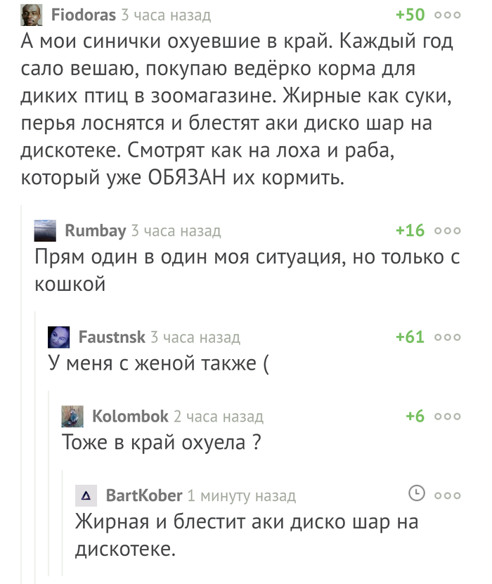 ����� ������ ����