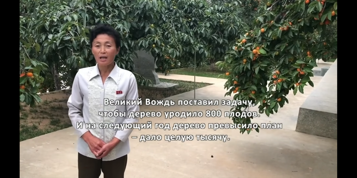 Всесильный вождь