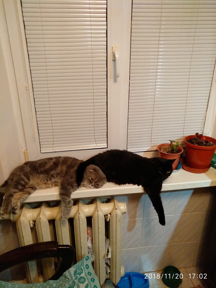 ����� �����?