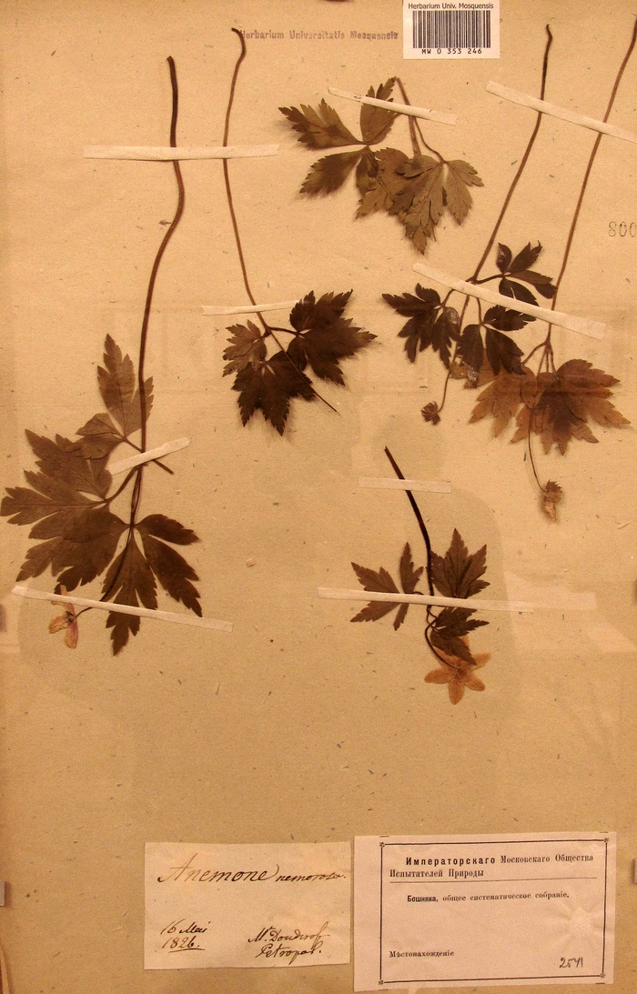 Поэт, шпион и паразит