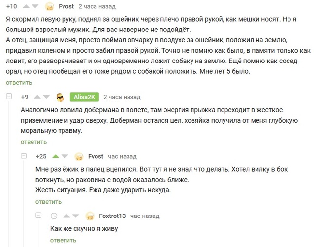 Самооборона она такая разная. - Ёжик, Самооборона, Собаки и люди, Комментарии на Пикабу, Собака, Скриншот