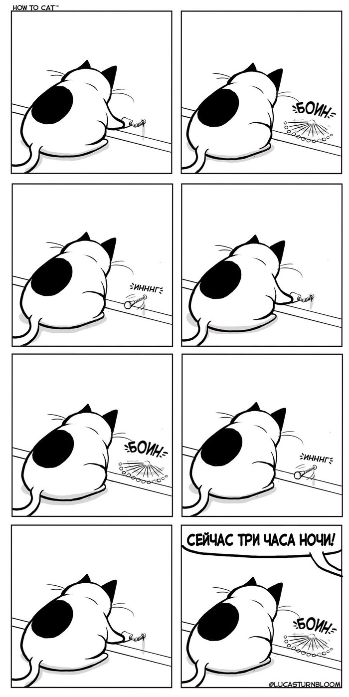 Ring in Silence - Comics, cat, Lucas Turnbloom, Night