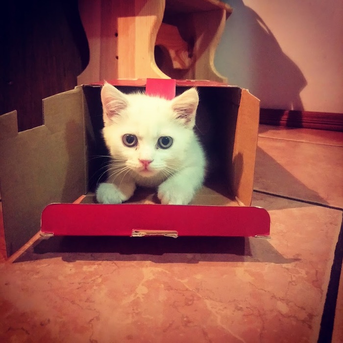 Я вижу тебя насквозь...