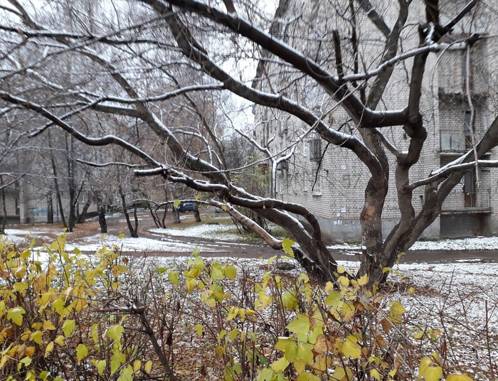 Пограничное время года Природа, Первый снег, Marikaoz, Длиннопост, Пермский край