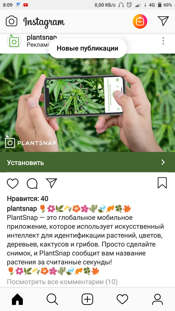 Kumar ads on insta - My, Humor, Advertising, Instagrammers, Marijuana, Hemp, Joke