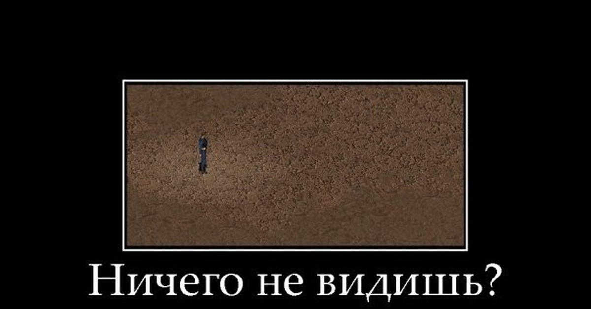 Видеть пустые. Ничего не видишь значит не понимаешь сути пустоши. Ты не понимаешь сути пустоши. Суть Пустошей. Я ничего не вижу Мем.