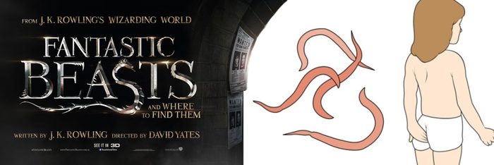 Фантастические твари и где они обитают