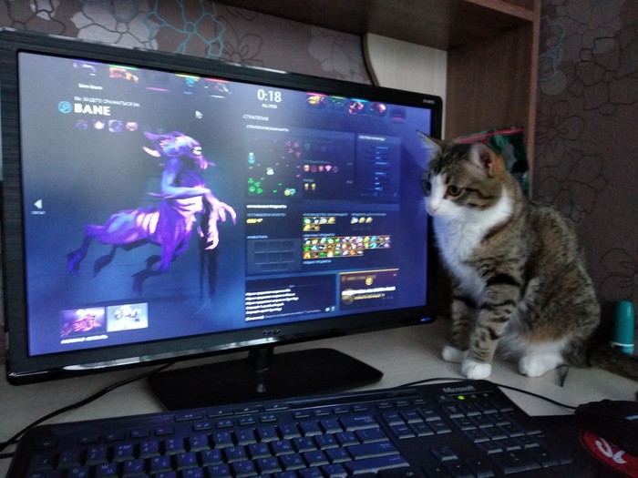 Немного котика и Dota2) - Моё, Dota 2, Кот