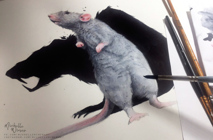 Rat , , , , , , , 