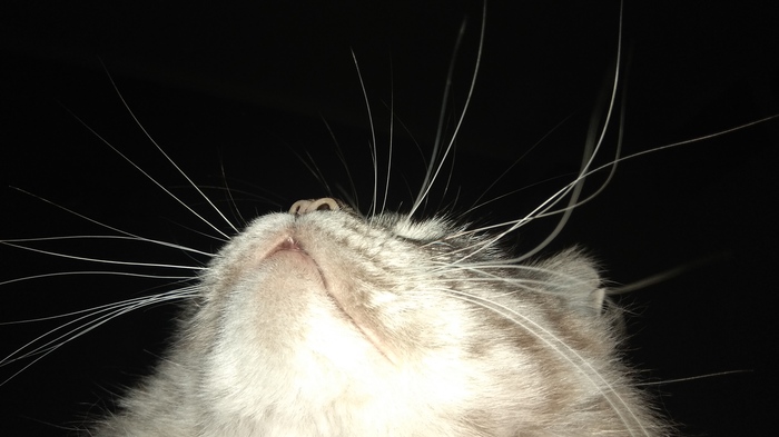 ���������� �����.