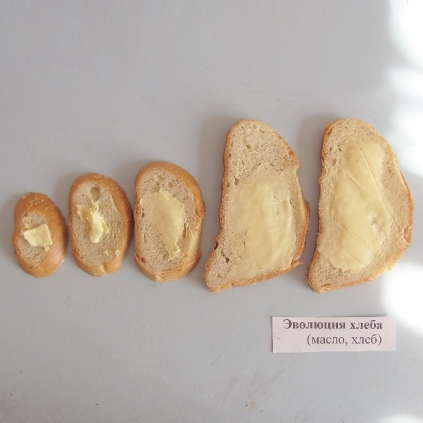 The evolution of bread - Bread, Butter, Evolution