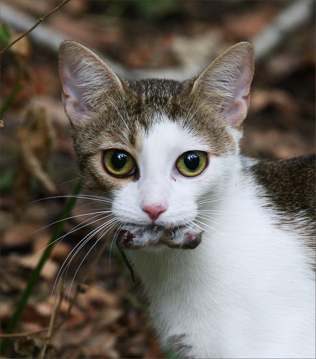 �����-�����