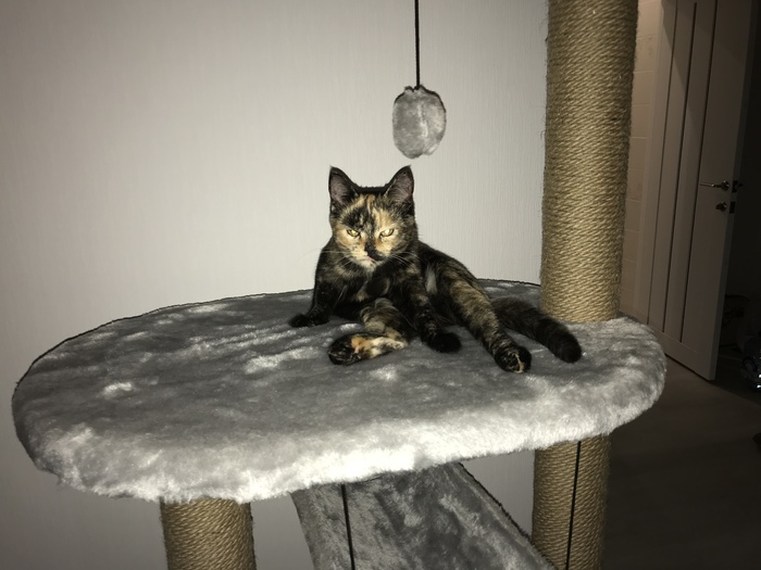 Походу я сейчас огребу...