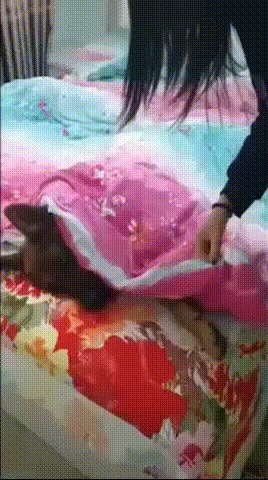 Ты мне мешаешь!