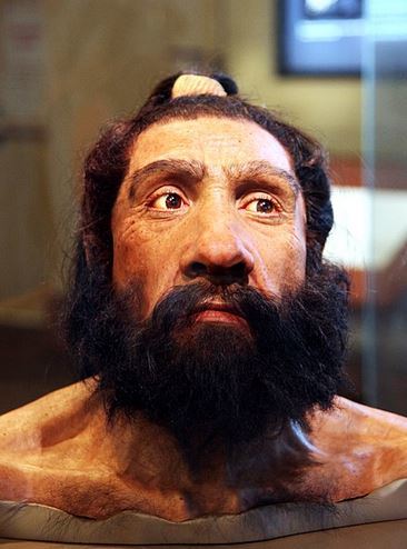 Neanderthals: how they lived and why they disappeared. - Neanderthal, Cro-Magnon, Anthropologists, Story, Longpost