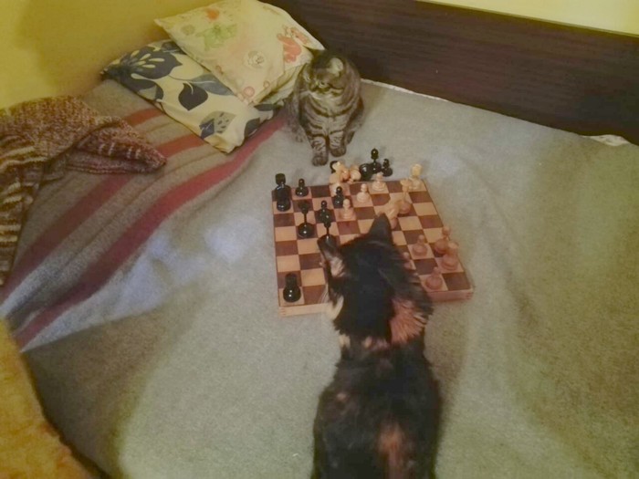       , , ,  , 