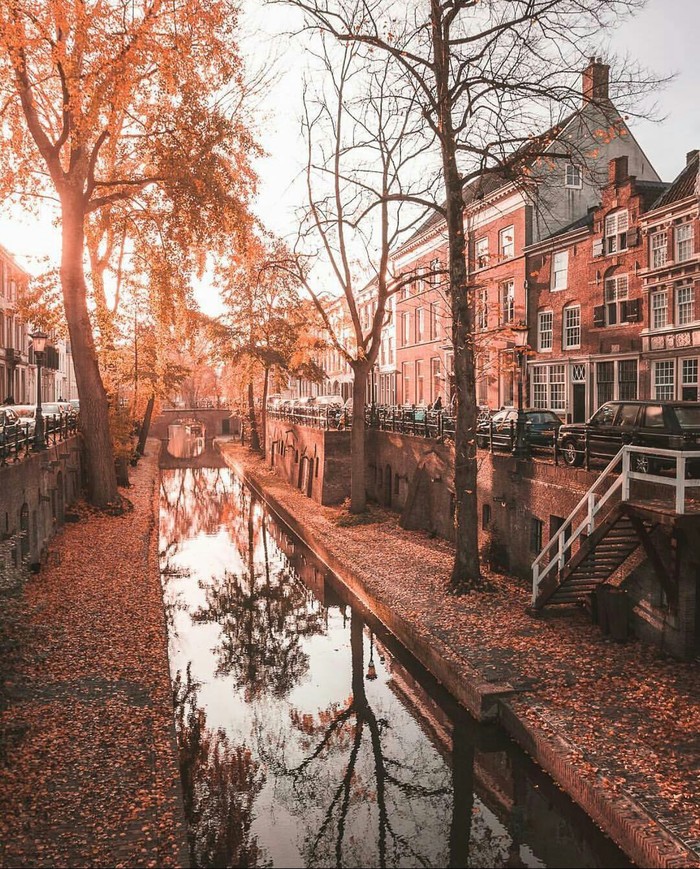 Utrecht, The Netherlands - Netherlands, Autumn, beauty, The photo, Nature, beauty of nature, Netherlands (Holland)