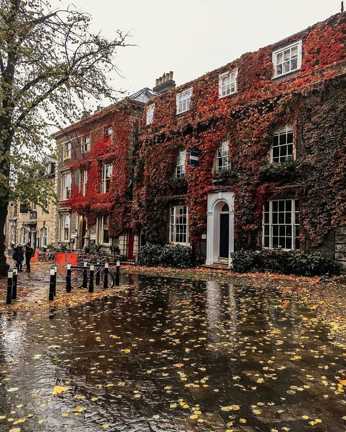 Rainy Norwich, UK - Rain, Autumn, The photo, The street, Great Britain, England, beauty, beauty of nature