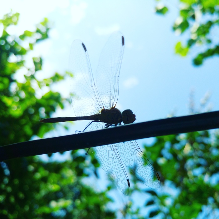 �������� � ������