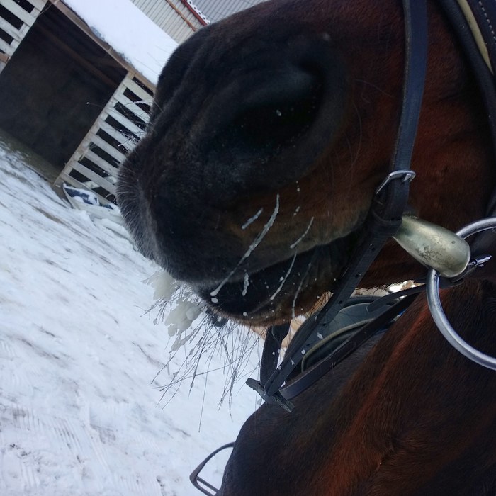 Зима пришла усы замёрзли)