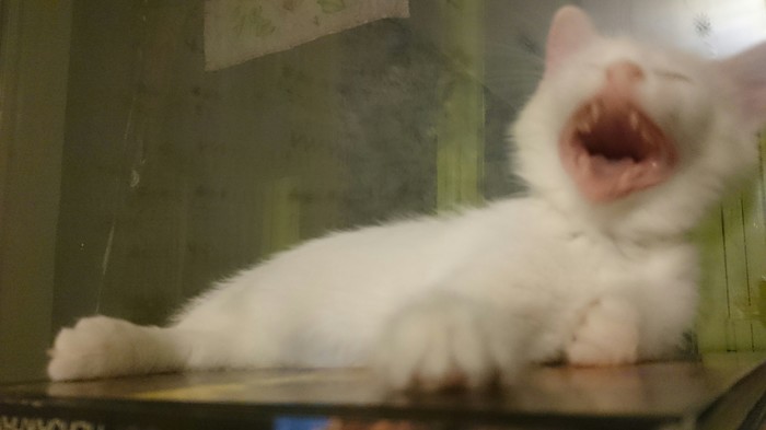 ������ ����� �����