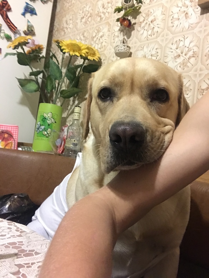 А как обедаете вы?