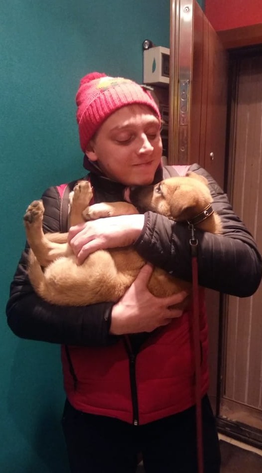 Pikachu - power! - My, In good hands, Dog, Help, Saint Petersburg, The strength of the Peekaboo, Longpost