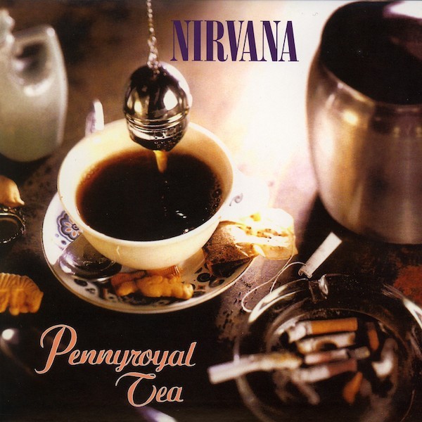   Pennyroyal tea  ,    "I'm a lier and a thief".    Nirvana, Pennyroyal Tea, 