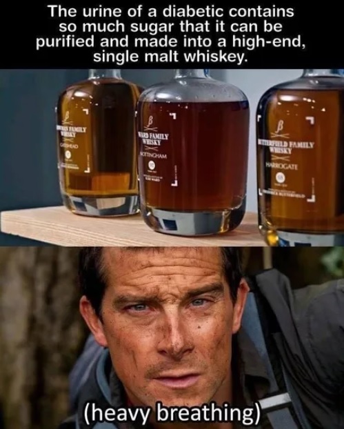 Diabetic urine contains so much sugar it can be distilled into the purest single malt whiskey. - Whiskey, Alcohol, Urine, Diabetes, Translation, 9GAG