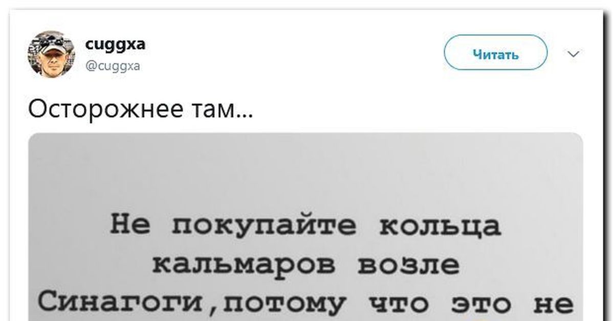 Кальмары синагоги. Кальмары у синагоги. Анекдот про кольца кальмара и синагогу. Кольца кальмара у синагоги. Шутка про кольца кальмара.