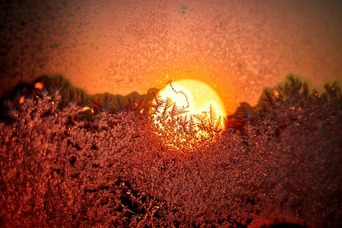 Sunrise over the winter forest. - My, Winter, The photo, The sun, Frost