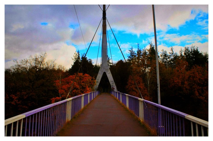 Last autumn days - My, The photo, Beginning photographer, Bridge, Symmetry, Nature, The park, Korosten