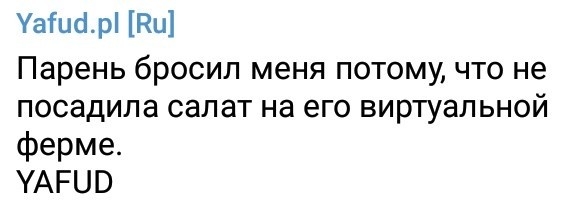 Yafud.pl [Ru] (ч.8) - Моё, Yafud, Перевод, Польский, Юмор, Неудача, Жизньдерьмо, Длиннопост