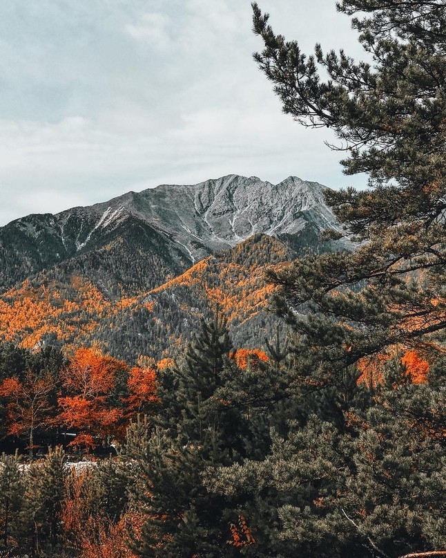 Beautiful autumn on Baikal - Baikal, Autumn, beauty of nature, Travel across Russia, Longpost, The photo