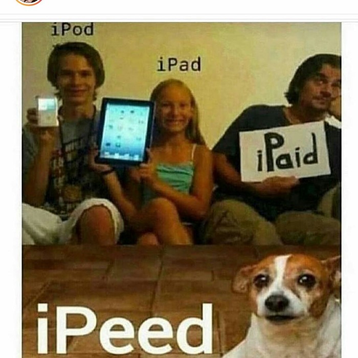 A bit of English humor - Parents and children, Humor, Apple, Dog