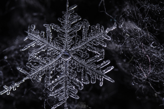 Snowflakes... - My, Snow, Snowflake, Macro, The photo, Macro photography, Photographer, Longpost