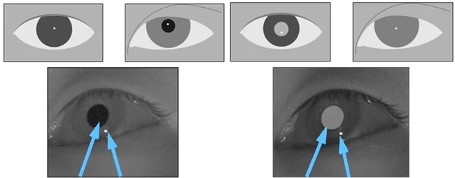 Eye control in games - My, Games, Computer games, Technologies, New technologies, Computer hardware, High tech, Video, GIF, Longpost