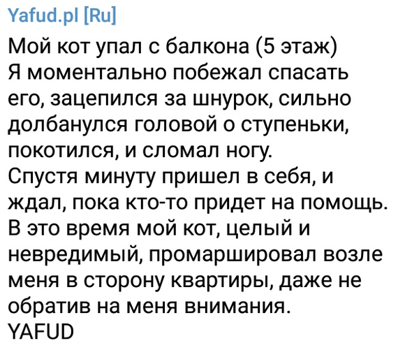 Yafud.pl [Ru] (part 10) - My, Yafud, Translation, Polish, Humor, Failure, Life is pain, , Longpost