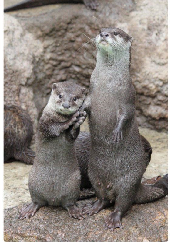 "���� �� �� �������..... �������� ��� ��� �����!"