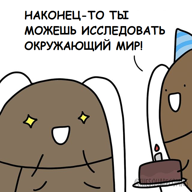 Happy birthday! - Thesquarecomics, Comics, Translation, Longpost