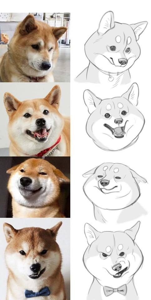 Art - Art, Talent, , Longpost, Dog, Shiba Inu, cat, Emotions, Rexie