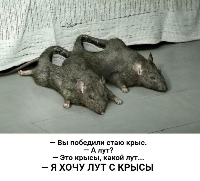 ������� DnD