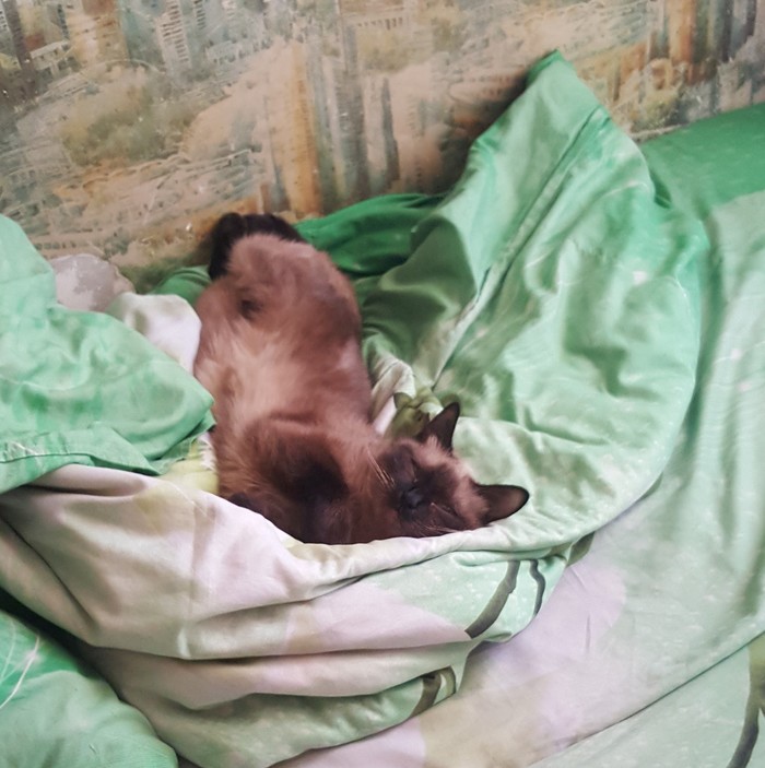 "� ������,  � �� ��� �������"